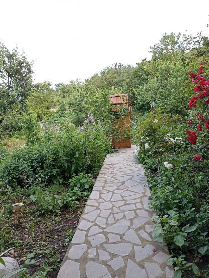Amoj B&B And Guest House Alaverdi Buitenkant foto
